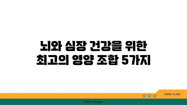 두뇌와 심장 건강, 한 번에 잡는 5가지 영양 듀오 | 심뇌 건강, 건강 식단, 영양소