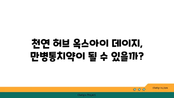 옥스아이 데이지의 놀라운 효능| 건강과 행복을 위한 자연 요법 | 천연 치료, 허브, 면역력 강화