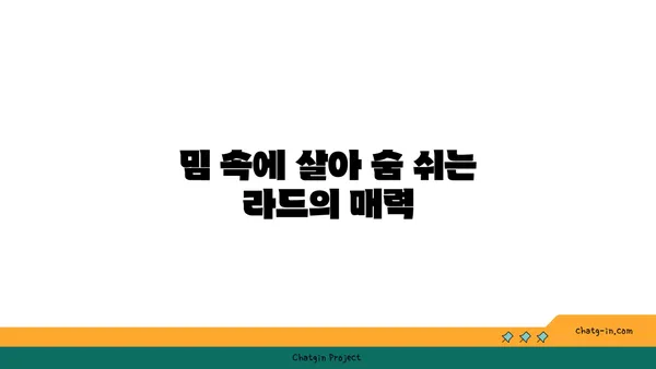 라드| 뜻과 유래, 그리고 다양한 활용 | 음악, 문화, 용어, 밈