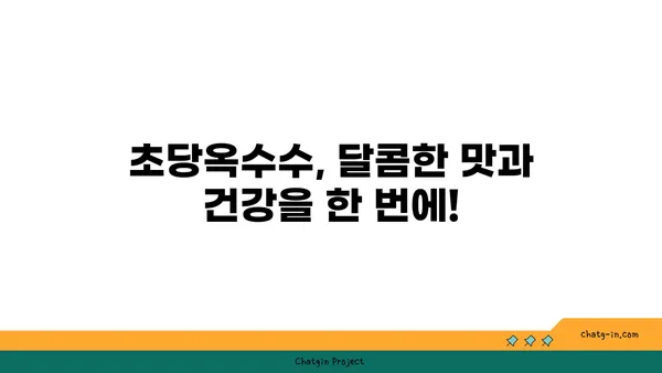 초당옥수수| 건강과 영양의 보물 창고 | 달콤한 맛과 풍부한 영양, 효능과 활용법