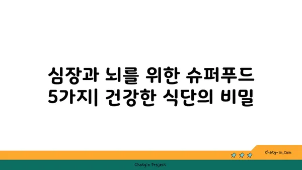 심장 건강과 뇌 기능 향상을 위한 5가지 슈퍼푸드 | 심뇌 건강, 심장병 예방, 인지 능력 향상, 건강 식단