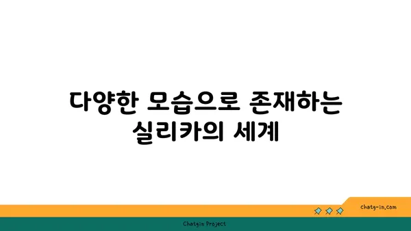 실리카, 당신의 삶 속 어디에? | 실리카의 종류, 활용, 그리고 미래