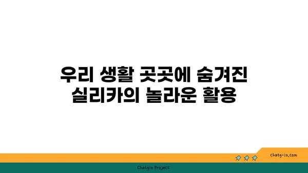 실리카, 당신의 삶 속 어디에? | 실리카의 종류, 활용, 그리고 미래