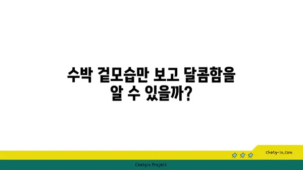 맛있는 수박 고르는 꿀팁 | 수박 고르는 방법, 달콤한 수박 찾는 비결