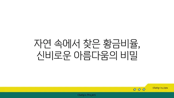 피보나치 수열과 황금비| 자연과 예술 속 아름다운 조화 | 수학, 황금비율, 피보나치, 디자인, 자연