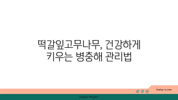 떡갈잎고무나무 키우기 완벽 가이드 | 잎꽂이, 물꽂이, 병충해, 분갈이, 겨울나기