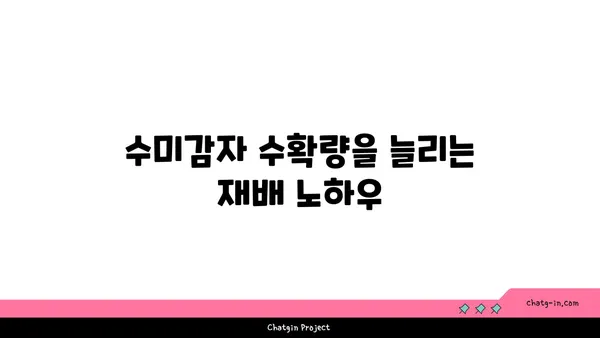 수미감자 수확의 정점| 최적의 시기와 기법 마스터하기 | 수미감자, 감자 수확, 농사, 재배, 팁