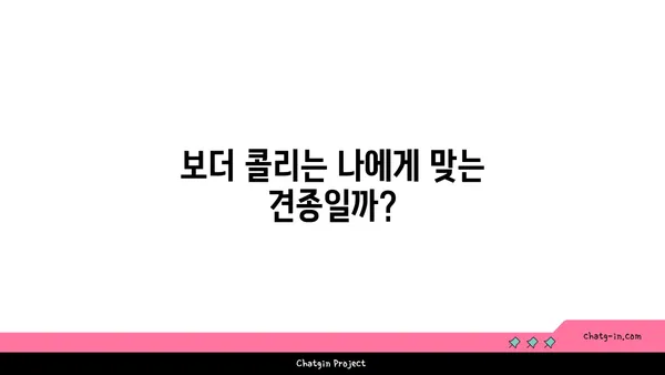 보더 콜리 완벽 가이드| 성격, 훈련, 건강, 그리고 당신에게 맞는지 확인하세요 | 견종, 개, 애견, 반려견, 훈련, 건강, 입양