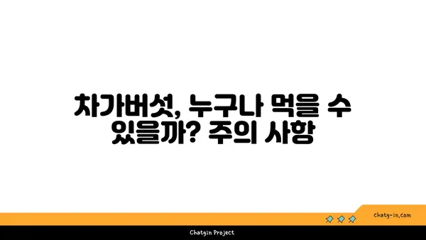 차가버섯 효능과 부작용 완벽 가이드 | 항암 효과, 면역력 강화, 주의 사항, 복용 방법