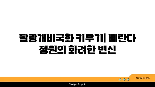 팔랑개비국화 키우기 | 햇살 가득한 베란다 정원 만들기 | 팔랑개비국화, 재배, 관리, 팁, 꽃