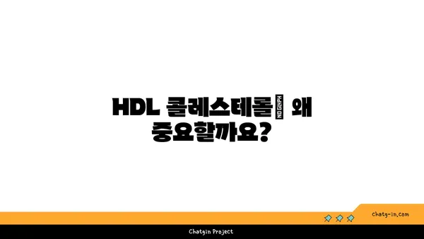 고밀도 지단백질(HDL)| 좋은 콜레스테롤, 건강하게 높이는 방법 | 콜레스테롤 관리, 심혈관 건강, 건강 정보