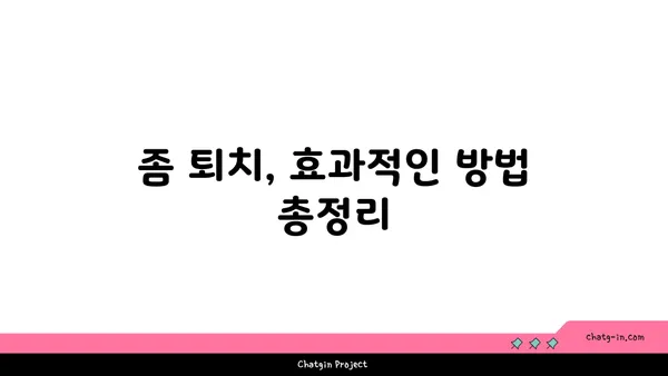 좀 퇴치| 집안의 거침없는 침입자를 없애는 완벽 가이드 | 좀, 퇴치, 벌레, 해충, 방제