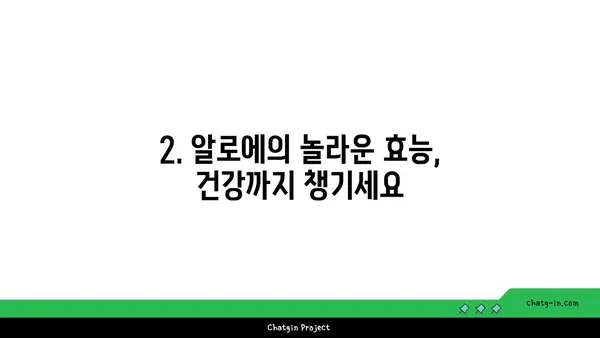 알로에의 놀라운 효능| 피부, 건강, 미용까지! | 알로에 효능, 알로에 베라, 알로에 사용법