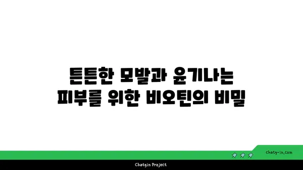 비오틴의 놀라운 효능 7가지| 건강과 아름다움을 위한 필수 영양소 | 비타민 B7, 건강, 뷰티, 영양