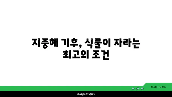 지중해성 기후의 매력| 햇살 가득한 삶과 풍요로운 자연 | 지중해, 기후, 여행, 식물, 농업