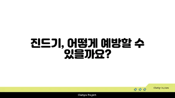 진드기 박멸 완벽 가이드| 종류별 특징부터 천연 해결책까지 | 진드기 제거, 진드기 예방, 진드기 종류