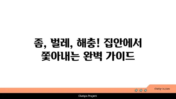 좀 퇴치| 집안의 거침없는 침입자를 없애는 완벽 가이드 | 좀, 퇴치, 벌레, 해충, 방제