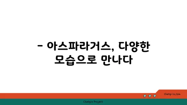 아스파라거스속 식물의 종류와 특징 | 아스파라거스, 식물 분류, 재배 팁