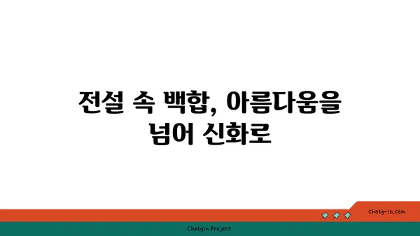 백합의 매력에 빠지다| 아름다움과 의미를 담은 꽃 이야기 | 백합 종류, 꽃말, 재배법, 전설