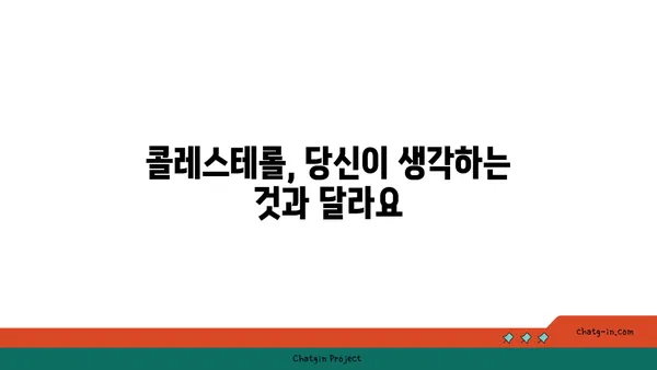콜레스테롤 신화 깨뜨리기| 당신이 알아야 할 5가지 진실 | 콜레스테롤, 건강, 오해