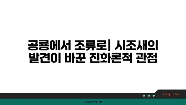 시조새| 진화의 증거를 찾다 | 공룡, 조류, 화석, 진화론, 고생물학