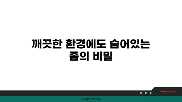 깨끗함의 오해| 좀에 대한 진실을 파헤쳐 보세요 | 곤충, 위생, 오해, 깨끗