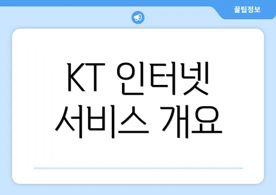 KT 인터넷 서비스 개요