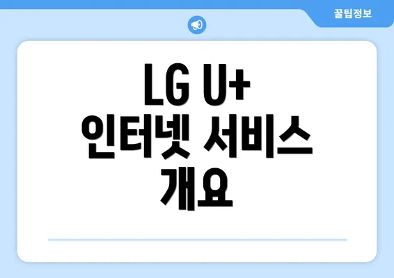 LG U+ 인터넷 서비스 개요