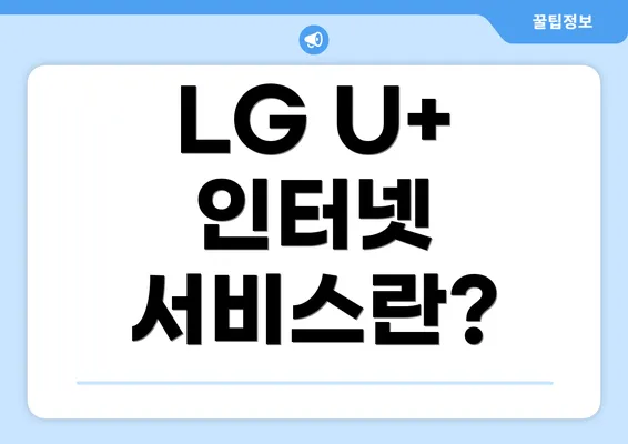 LG U+ 인터넷 서비스란?