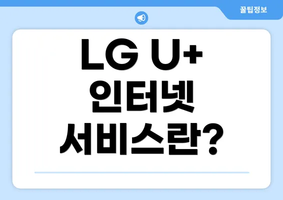 LG U+ 인터넷 서비스란?