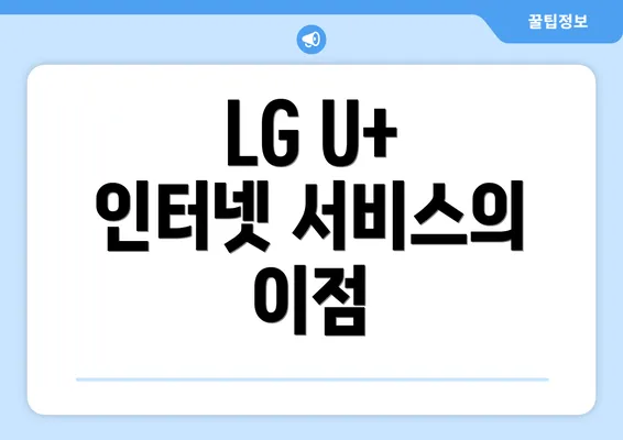 LG U+ 인터넷 서비스의 이점