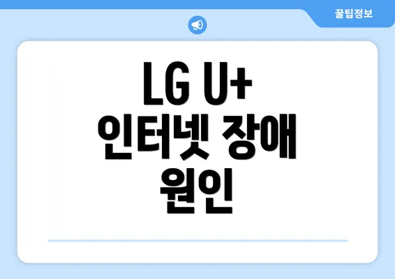 LG U+ 인터넷 장애 원인