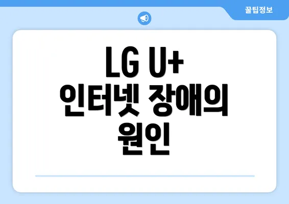 LG U+ 인터넷 장애의 원인