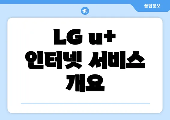 LG u+ 인터넷 서비스 개요