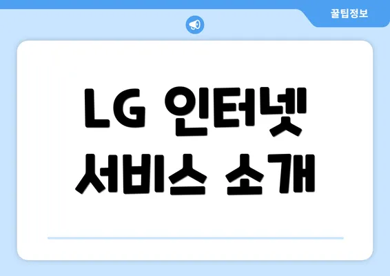 LG 인터넷 서비스 소개