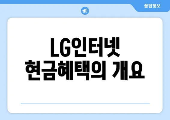 LG인터넷 현금혜택의 개요