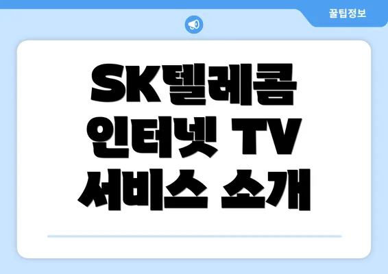 SK텔레콤 인터넷 TV 서비스 소개