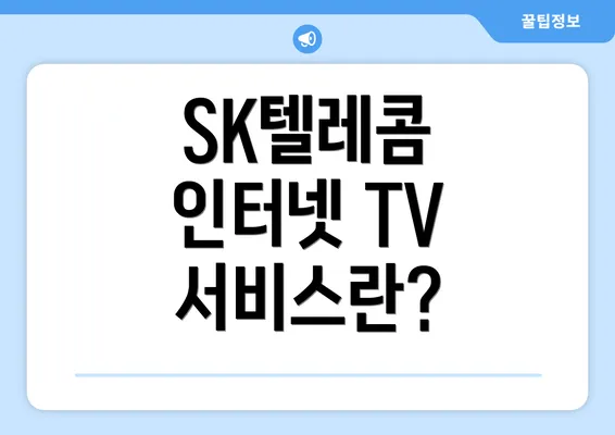 SK텔레콤 인터넷 TV 서비스란?