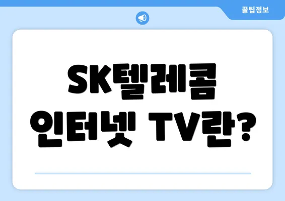 SK텔레콤 인터넷 TV란?