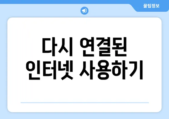 다시 연결된 인터넷 사용하기