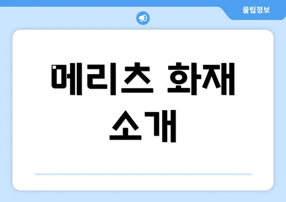 메리츠 화재 소개