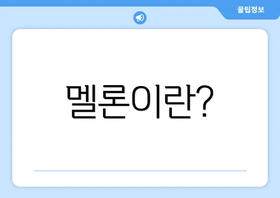 멜론이란?