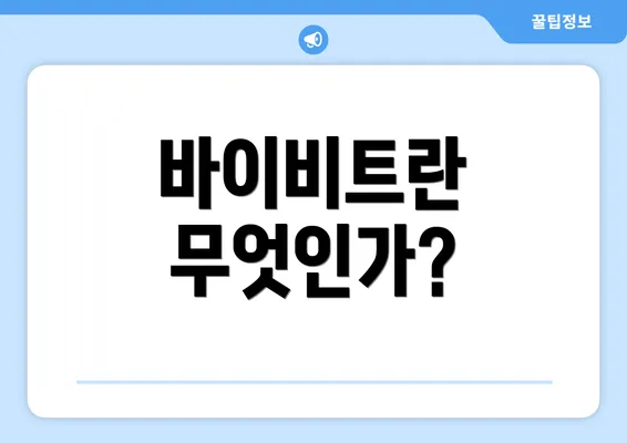 바이비트란 무엇인가?