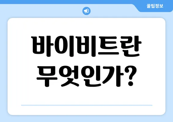 바이비트란 무엇인가?