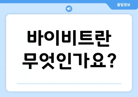 바이비트란 무엇인가요?