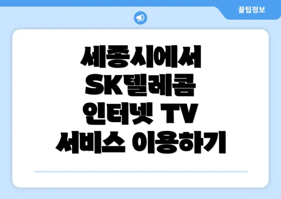 세종시에서 SK텔레콤 인터넷 TV 서비스 이용하기