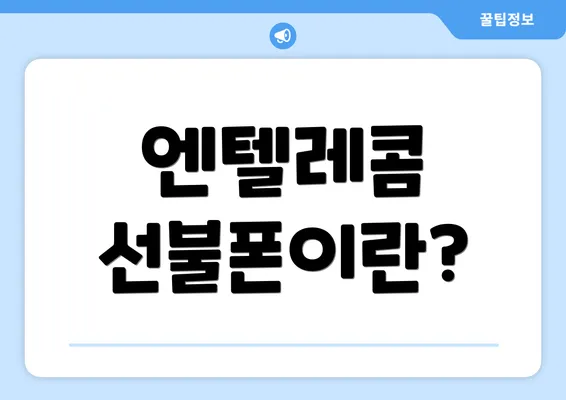 엔텔레콤 선불폰이란?