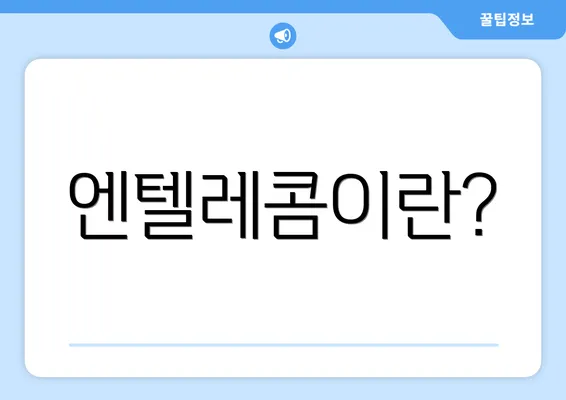 엔텔레콤이란?