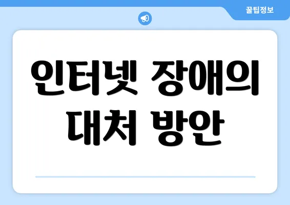 인터넷 장애의 대처 방안