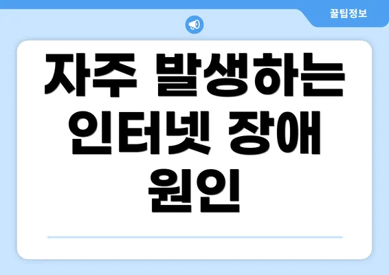 자주 발생하는 인터넷 장애 원인